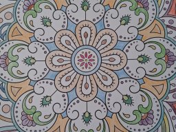 whatsapp image 2026-01-03 at 11.44.38